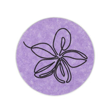 Load image into Gallery viewer, Facial &amp; Body Cleansing Sponges, Compostable &amp; Eco Friendly. Cellulose or Konjac