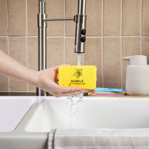 Compostable Dish Sponges: Plastic-Free & Eco-Friendly. Cellulose & Coconut fiber