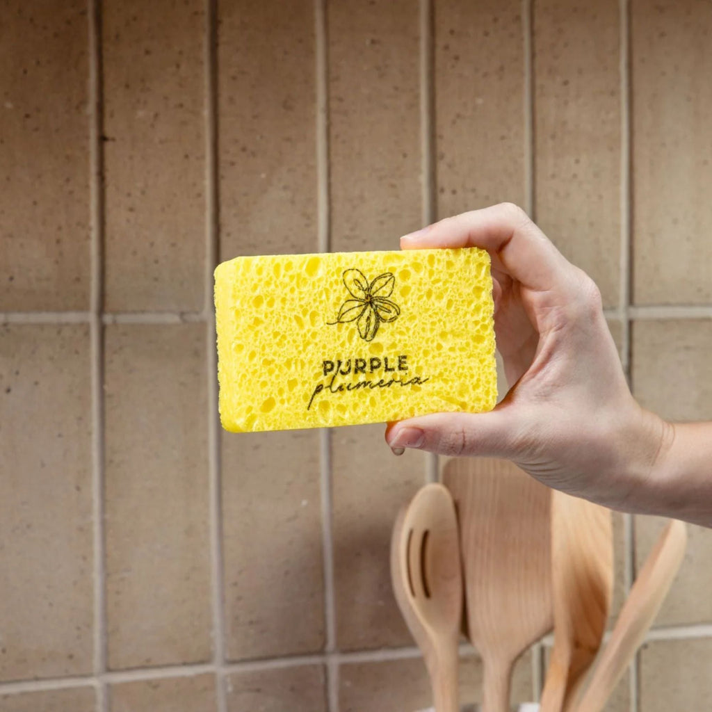 Compostable Dish Sponges: Plastic-Free & Eco-Friendly. Cellulose & Coconut fiber