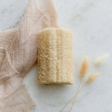 Load image into Gallery viewer, Loofah Sponge Pack