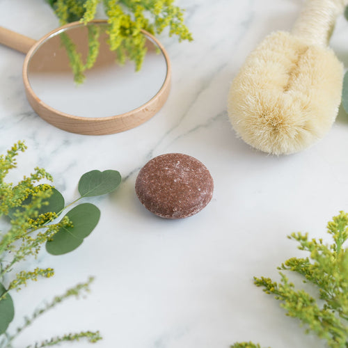 Argan Oil - Shampoo Bar