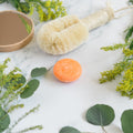An orange Citrus Craze shampoo bar on a marble surface with a natural bristle brush and eucalyptus leaves, highlighting one of the best vegan shampoo bars for eco-friendly hair care.